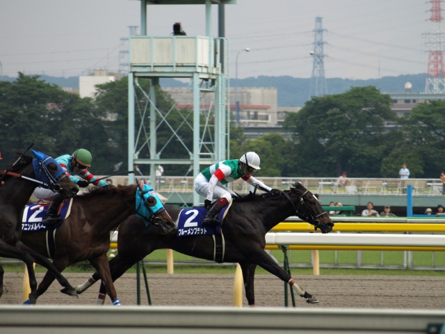 ヴィクトリアマイル ブルーメンブラット