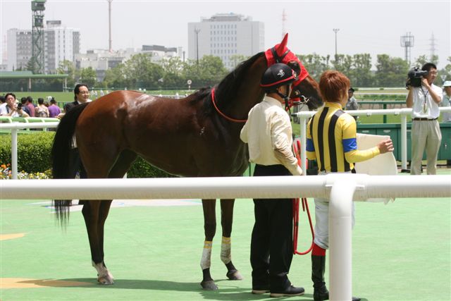 ｄ モンサンミシェル