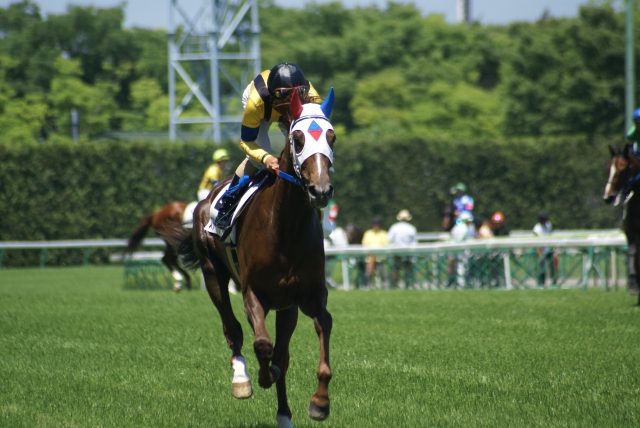 初勝利戦　反し馬 ステイトリーデイズ