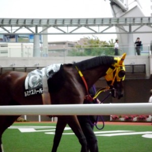 仲秋特別(1000万下）パドック