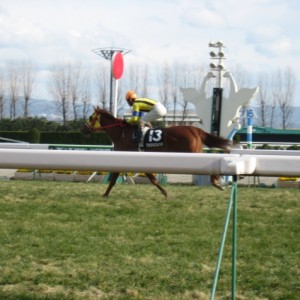 2回京都7日目10Ｒ木津川特別・ゴール前