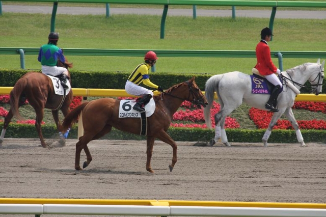 ５月１７日　東京８Ｒ　４歳上５００万下 スコルピオンキッス