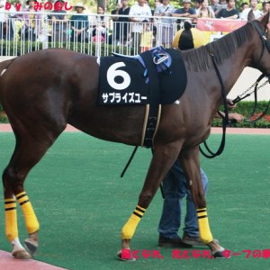 国東特別（小倉８Ｒ）のパドック