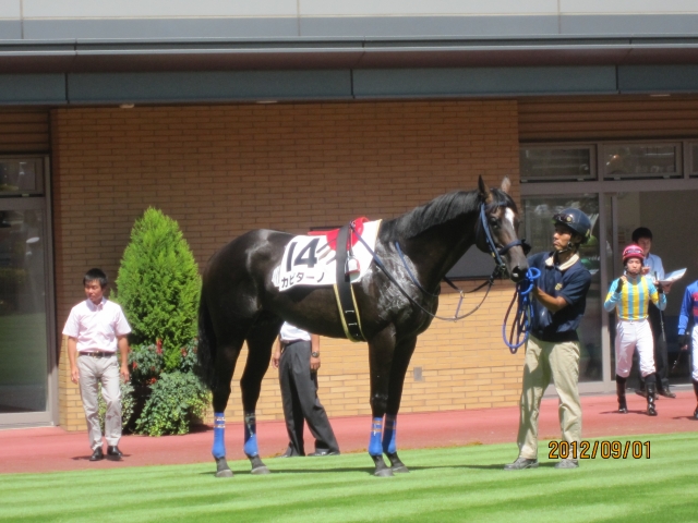 障害未勝利④ カピターノ
