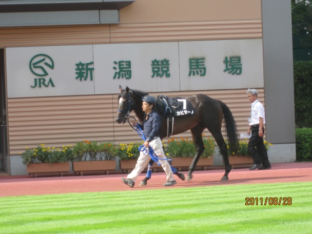 月岡温泉特別② カピターノ