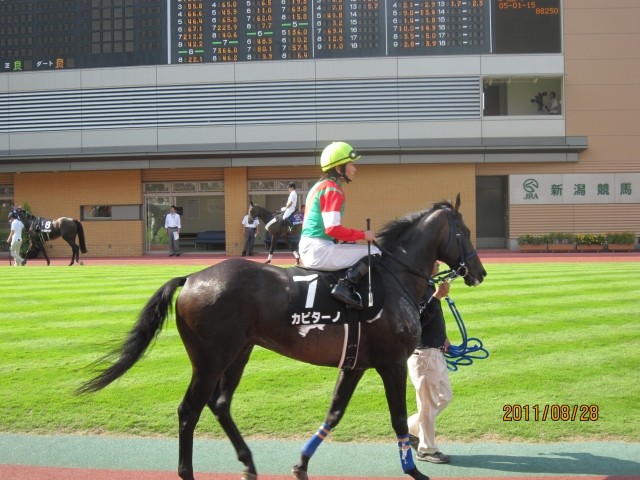 月岡温泉特別④ カピターノ
