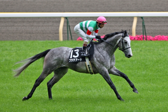 2008/05/11 東京９Ｒ 八ヶ岳特別 プラテアード