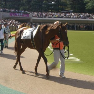 復帰戦をむかえたアーバニタ