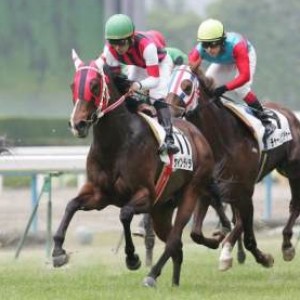 京都3R　3歳未勝利(牝)　芝2000m　▲浜中　8着