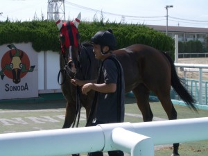 五峰山特別（3歳交流未勝利）優勝 ウインライラ