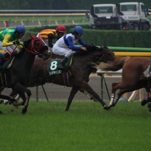 エプソムカップレース直線入り口