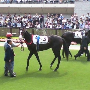 500万下（2007.10.13）パドック