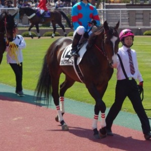 2010年5月1日新潟競馬場　4歳以上500万