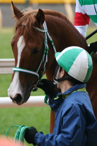 20080218未勝利戦 ギガワンダー