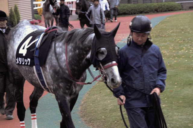 パドック メタリック