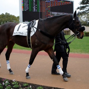 2008/01/20 京都７R ４歳上500万