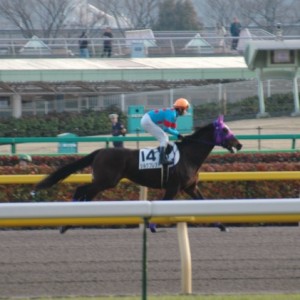 2010年2月20日 
