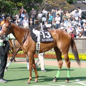 2007.04.29東京スイートピーＳ