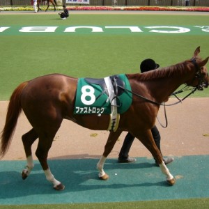 ファストロック④