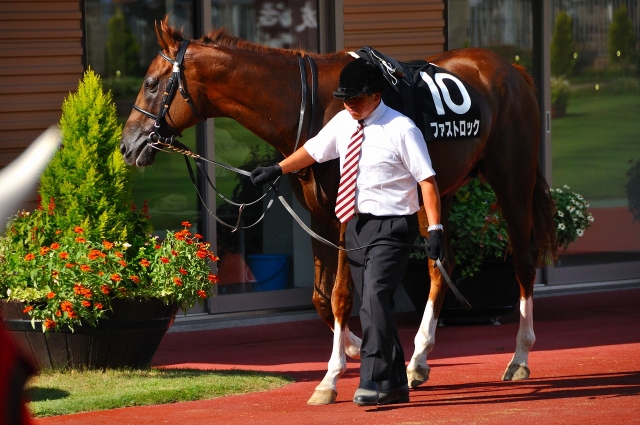 新潟競馬場　朱鷺ステークス　パドック（20108/28） ファストロック