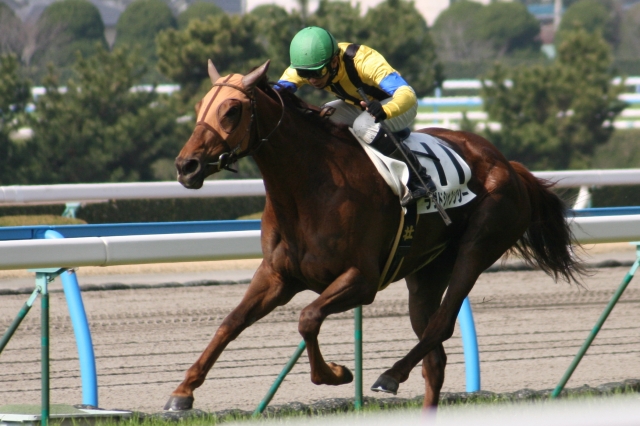 ２００９年２月１４日小倉５Ｒ ラヴドシャンクシー