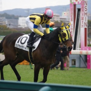 20090328_11R牝馬限定戦_馬場入場