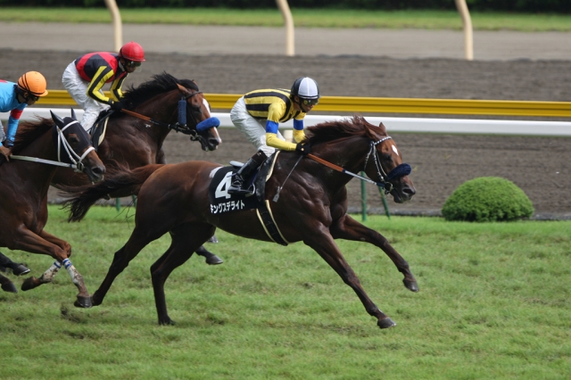 2008/09/07 新潟９R 瓢湖特別 キングスデライト