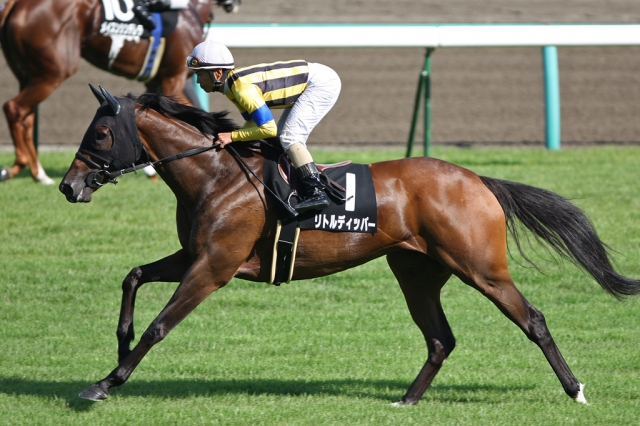 2009/09/13 中山９R 初風特別 リトルディッパー