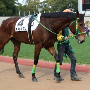 2009/2/14 京都４Ｒ ４歳上500万下