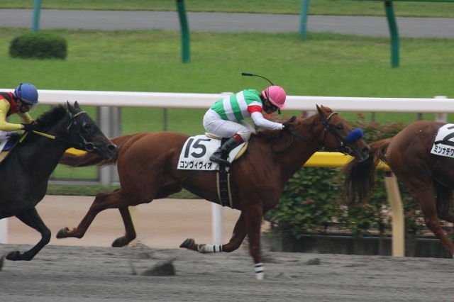 ６月８日　３歳未勝利戦 コンヴィヴィオ