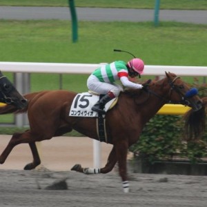 ６月８日　３歳未勝利戦