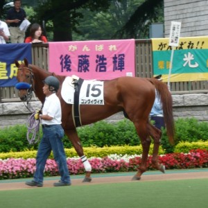 デビュー戦パドックでカメラ目線