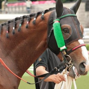 ５月３０日東京競馬８Ｒ