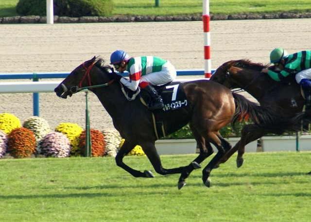 堀川特別（1000万下）マルティンスターク マルティンスターク