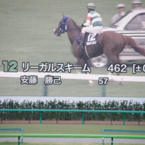 08年5月11日NHKﾏｲﾙ