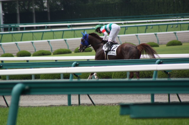 阪神500万下　 リーガルスキーム