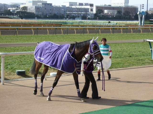 マルチメトリック1 マルチメトリック