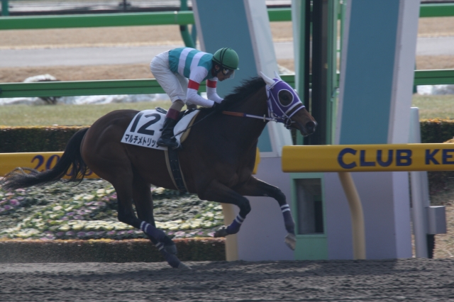 ３歳新馬戦　東京ダ1400ｍ　ゴール マルチメトリック