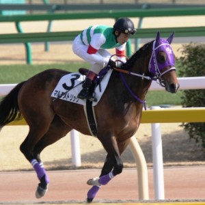 ４歳500万下　ダ1600ｍ　返し馬