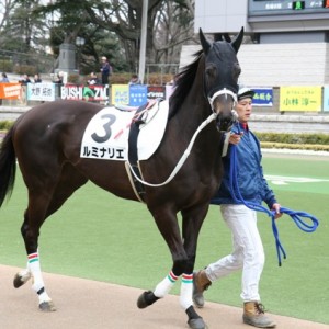3歳500万下　パドック