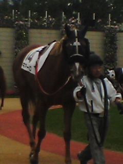 １８戦目 キアーロ