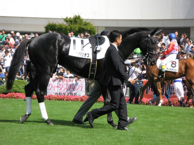 故障明け初戦５００万下パドック２ ロードバリオス