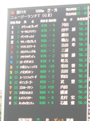 ＮＺ ロードバリオス