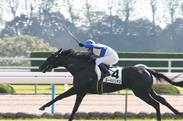 ２歳未勝利 ロードバリオス