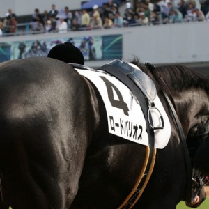 ２歳未勝利パドック