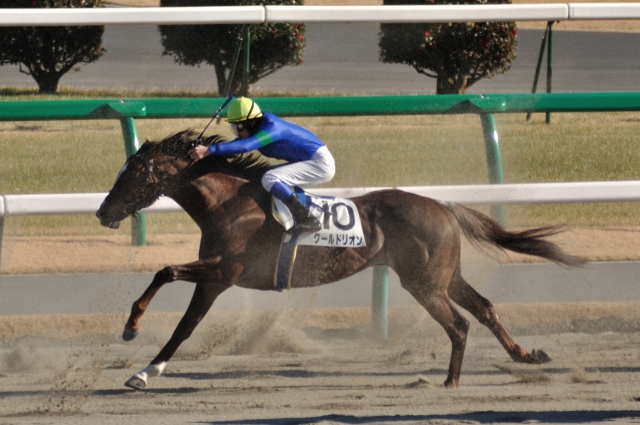 中山競馬場　1000万下　直線 クールドリオン