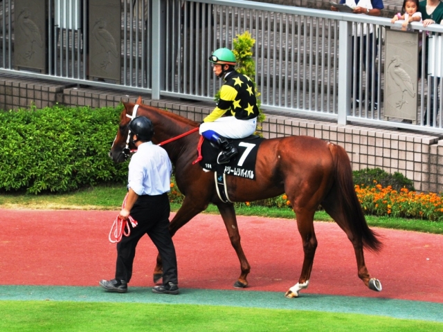 2010.7.25新潟10R麒麟山特別　パドック ドリームリバイバル