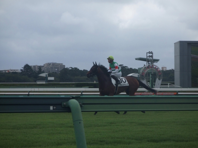 中山競馬場　初勝利 チョコクランチ