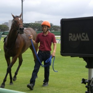 新馬戦ウィナーズサークル