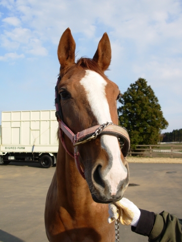 鉾田TC2 マイネウインク